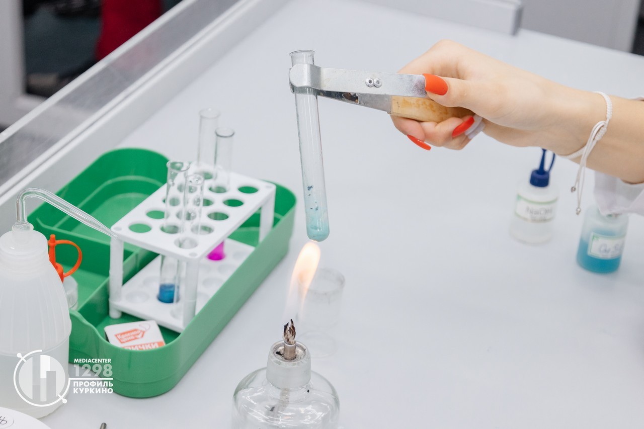 Общая информация, ГБОУ Школа № 1298 "Профиль Куркино", Москва